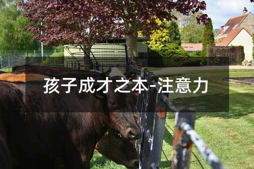 孩子成才之本-注意力