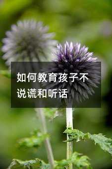 如何教育孩子不說(shuō)謊和聽話