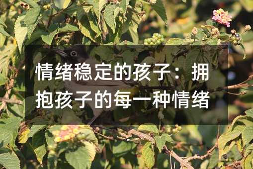 情緒穩定的孩子:擁抱孩子的每一種情緒