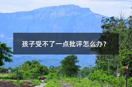 孩子受不了一點批評怎么辦?