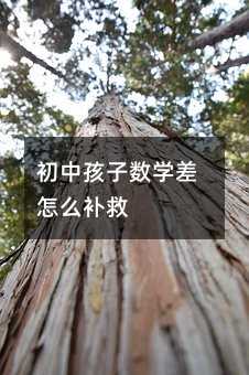 初中孩子數學差怎么補救