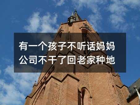 有一個孩子不聽話媽媽公司不干了回老家種地