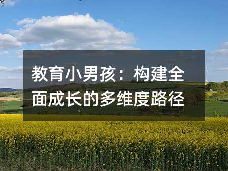 教育小男孩:構建全面成長的多維度路徑