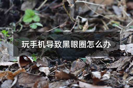 玩手機(jī)導(dǎo)致黑眼圈怎么辦