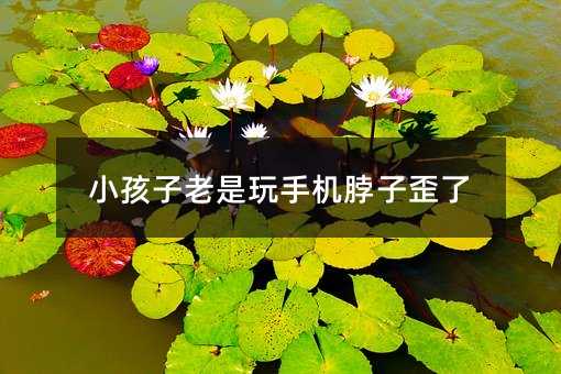 小孩子老是玩手機脖子歪了