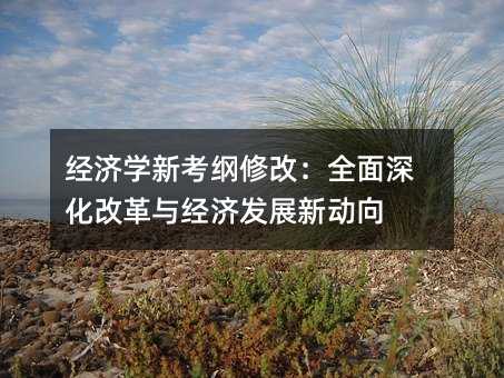 W¿V޸ģȫĸclչ