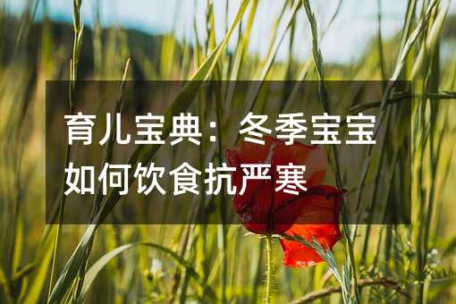 䣺ʳ