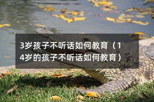 3歲孩子不聽話如何教育(14歲的孩子不聽話如何教育)