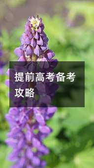 提前高考備考攻略