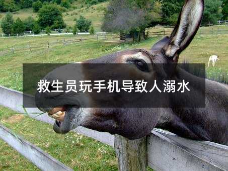 T֙C(j)(do)ˮ