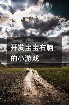 開發寶寶右腦的小游戲