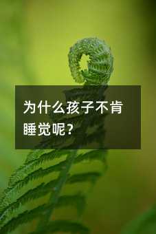 ʲôӲ˯Xأ