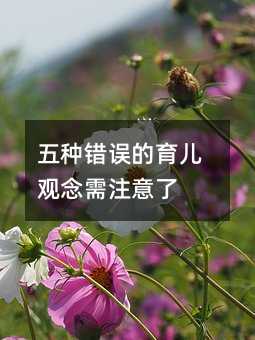 五種錯誤的育兒觀念需注意了
