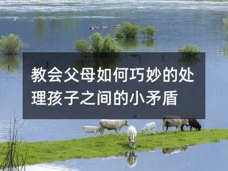 教會父母如何巧妙的處理孩子之間的小矛盾