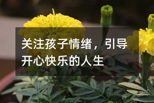 關注孩子情緒,引導開心快樂的人生