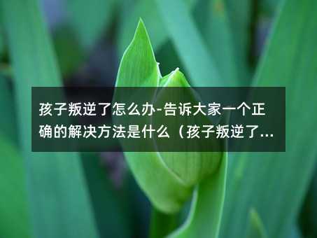孩子叛逆了怎么辦-告訴大家一個正確的解決方法是什么(孩子叛逆了怎么辦-告訴大家一個正確的解決方法)