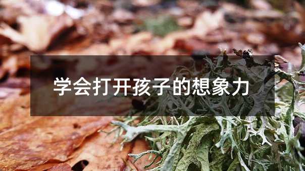 學會打開孩子的想象力