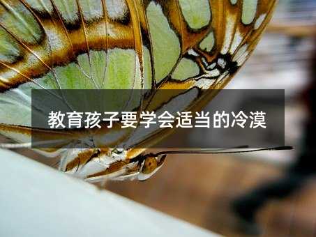 教育孩子要學會適當的冷漠