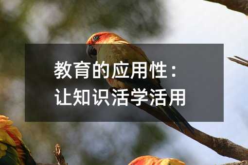 教育的應用性:讓知識活學活用