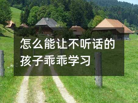 怎么能讓不聽話的孩子乖乖學(xué)習(xí)