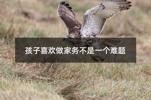 孩子喜歡做家務不是一個難題