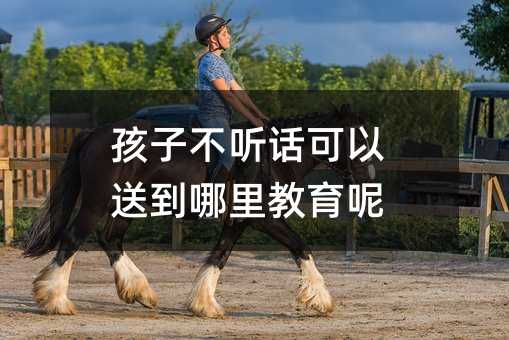 孩子不聽(tīng)話(huà)可以送到哪里教育呢