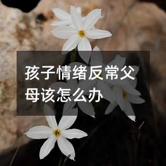 孩子情緒反常父母該怎么辦