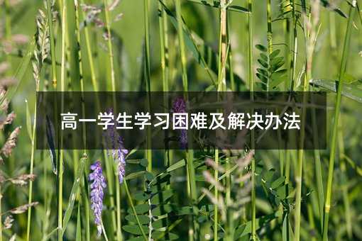 һWWyQk