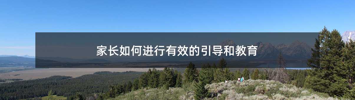 家長如何進行有效的引導和教育