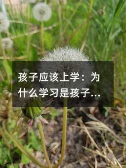 ӑ(yng)ԓόW(xu)ʲôW(xu)(x)ǺӳLĻA(ch)