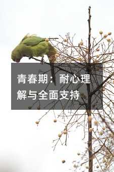 青春期:耐心理解與全面支持