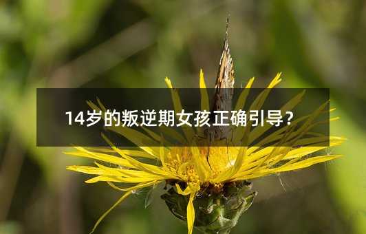 14歲的叛逆期女孩正確引導?
