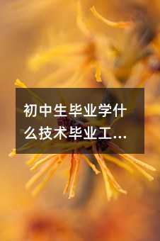 初中生畢業學什么技術畢業工資高?