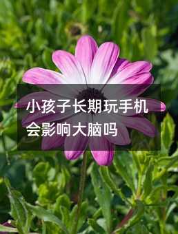 小孩子長期玩手機會影響大腦嗎