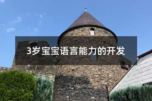 3歲寶寶語言能力的開發