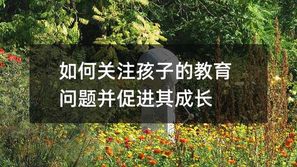 如何關注孩子的教育問題并促進其成長