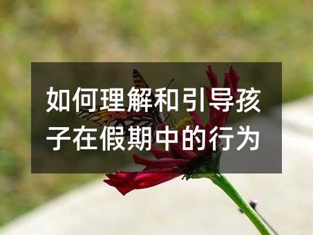 如何理解和引導(dǎo)孩子在假期中的行為