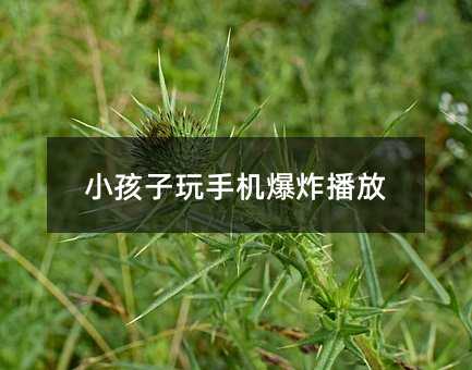 小孩子玩手機爆炸播放