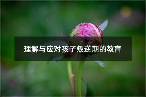 理解與應對孩子叛逆期的教育