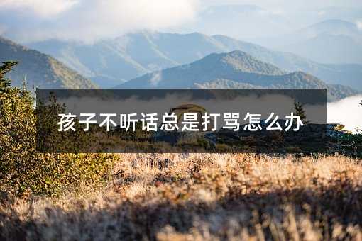 孩子不聽話總是打罵怎么辦