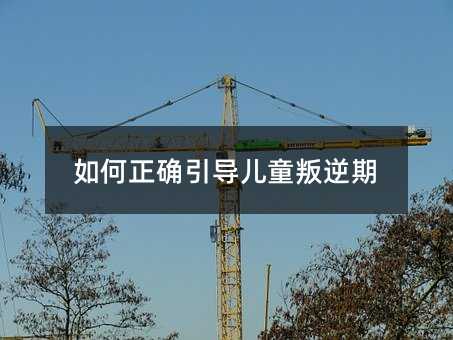 如何正確引導兒童叛逆期