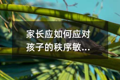家長應(yīng)如何應(yīng)對孩子的秩序敏感期