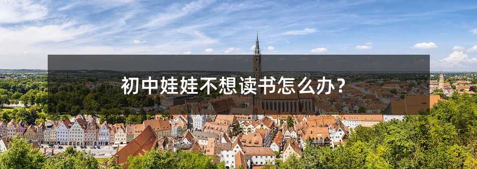 初中娃娃不想讀書怎么辦?
