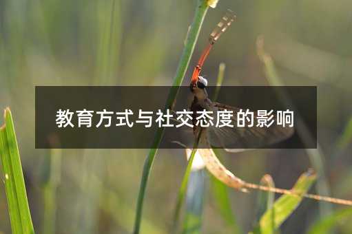 ʽc罻B(ti)ȵӰ