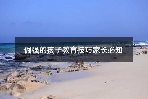 倔強的孩子教育技巧家長必知