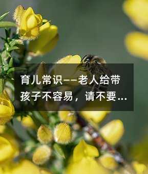 育兒常識——老人給帶孩子不容易,請不要再嫌棄了!