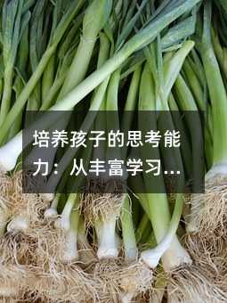 培養(yǎng)孩子的思考能力:從豐富學(xué)習(xí)環(huán)境到自主解決問題