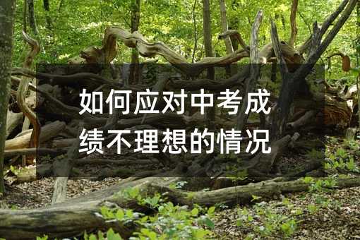 如何應對中考成績不理想的情況