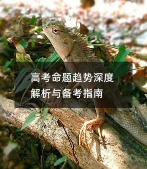 高考命題趨勢深度解析與備考指南