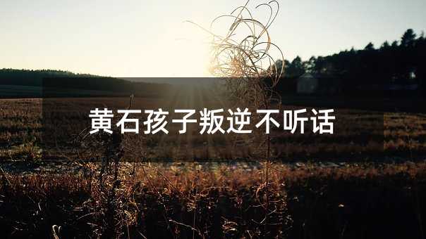 Sʯ治 Ԓ
